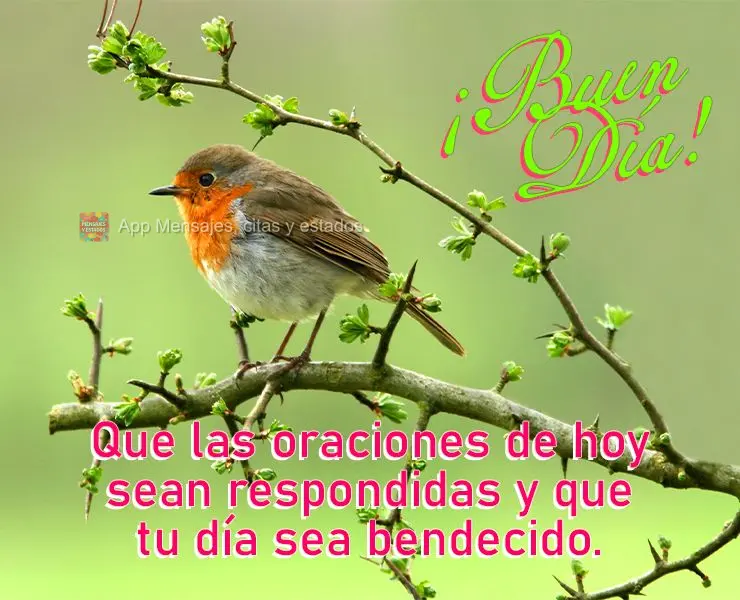 Que las oraciones de hoy sean respondidas y que tu día sea bendecido. ¡Buen día!
