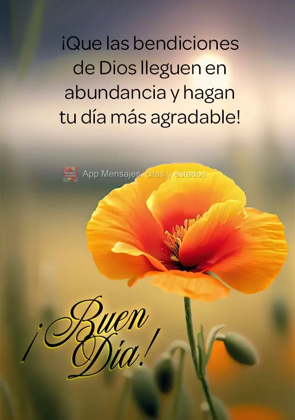 Que as bênçãos de Deus venham em abundância e tornem o seu dia mais prazeroso de se viver! Bom dia!