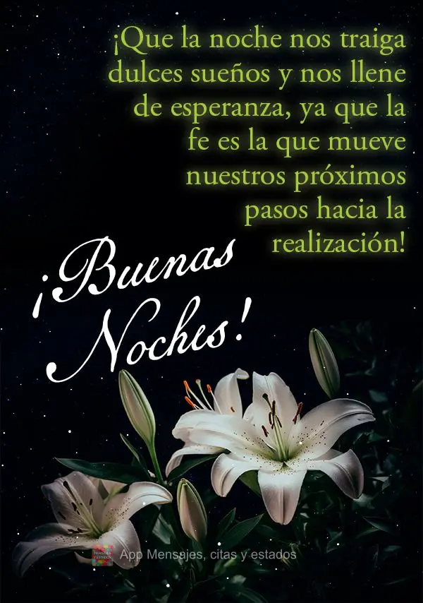 Que o noite nos traga doces sonhos e nos encha de esperança, pois a fé é o que move nossos próximos passos em direção da realização! Boa noite!...