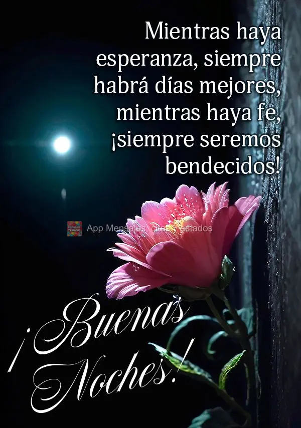 Enquanto houver esperança sempre haverão dias melhores, enquanto houver fé, sempre seremos abençoados! Boa noite!