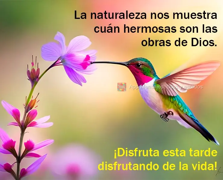 La naturaleza nos muestra cuán hermosas son las obras de Dios. ¡Disfruta esta tarde disfrutando de la vida!