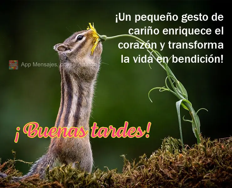 ¡Un pequeño gesto de cariño enriquece el corazón y transforma la vida en bendición! ¡Buenas tardes!