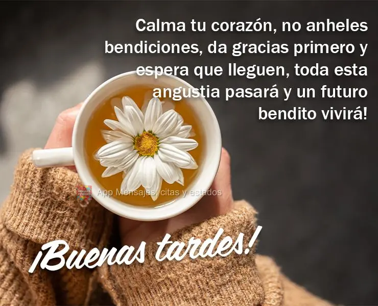 Tranquilize seu coração, não anseie por bênçãos, agradeça primeiro e espere chegar, toda essa angústia irá passar e um futuro abençoado viverá...