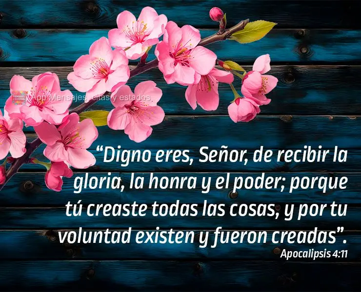 “Digno eres, Señor, de recibir la gloria, la honra y el poder; porque tú creaste todas las cosas, y por tu voluntad existen y fueron creadas”. Apoc...