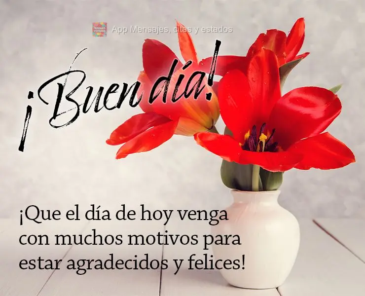 Que o dia de hoje venha com muitos motivos para agradecer e ser feliz! Bom dia!