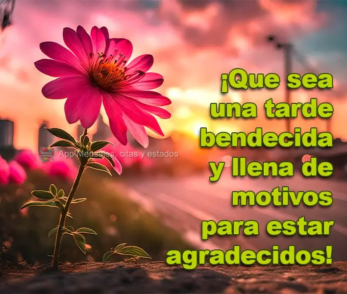 Que seja uma tarde abençoada e cheia de motivos para agradecer!