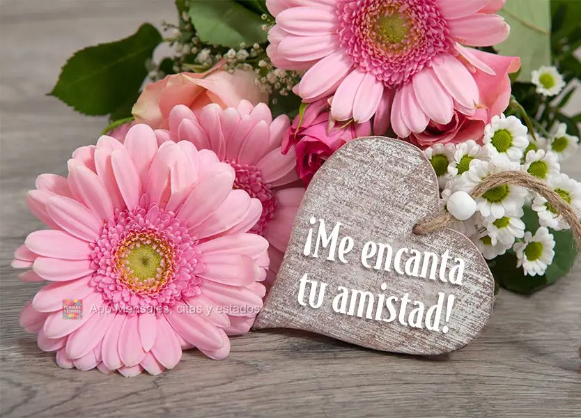 ¡Me encanta tu amistad!