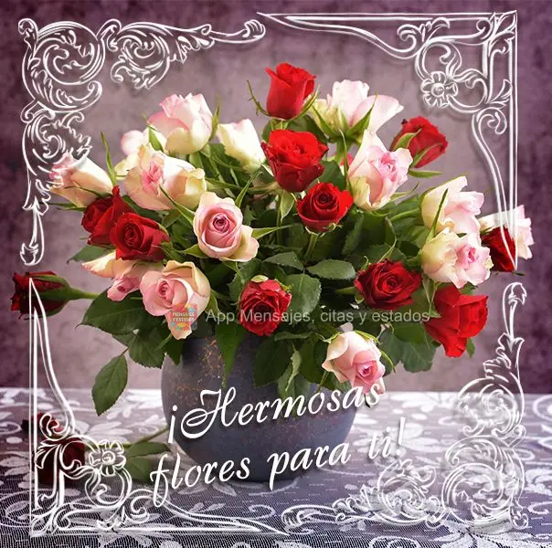 ¡Hermosas flores para ti! 