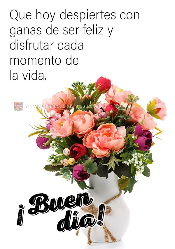 Que hoje você possa despertar com vontade de ser feliz e aproveitar cada momento da vida. Bom dia!