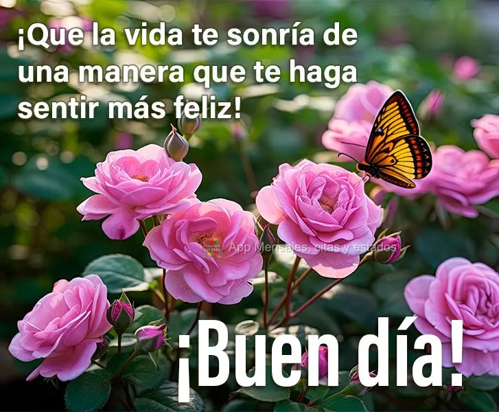 Que a vida sorria pra você de forma que te faça sentir mais feliz! Bom dia!