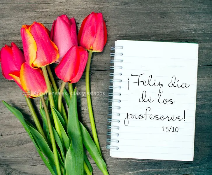 Feliz dia dos Professores! 15/10