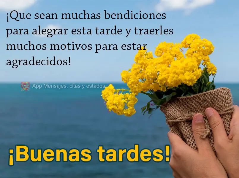 ¡Que sean muchas bendiciones para alegrar esta tarde y traerles muchos motivos para estar agradecidos! ¡Buenas tardes!