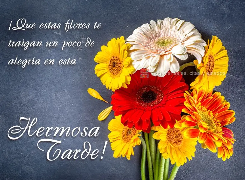 Que essas flores possa lhe trazer um pouco de alegria nesta linda tarde!