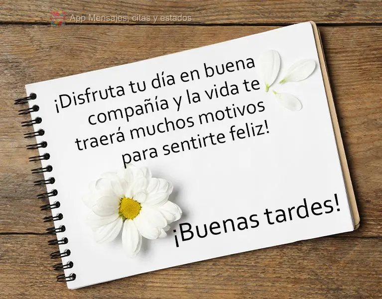 Aproveite o seu dia em boa companhia e a vida lhe trará muitos motivos para se sentir feliz! Boa tarde!
