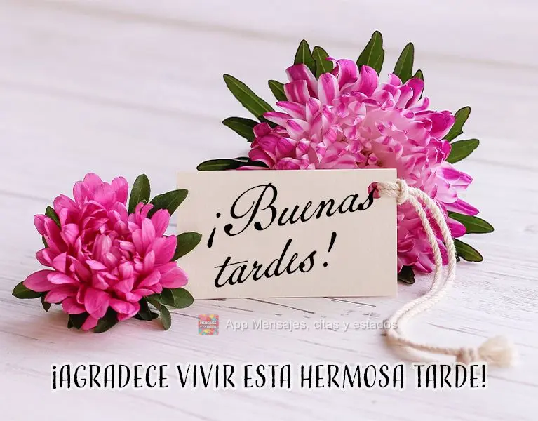 Agradeça por viver esta linda tarde! Boa tarde!