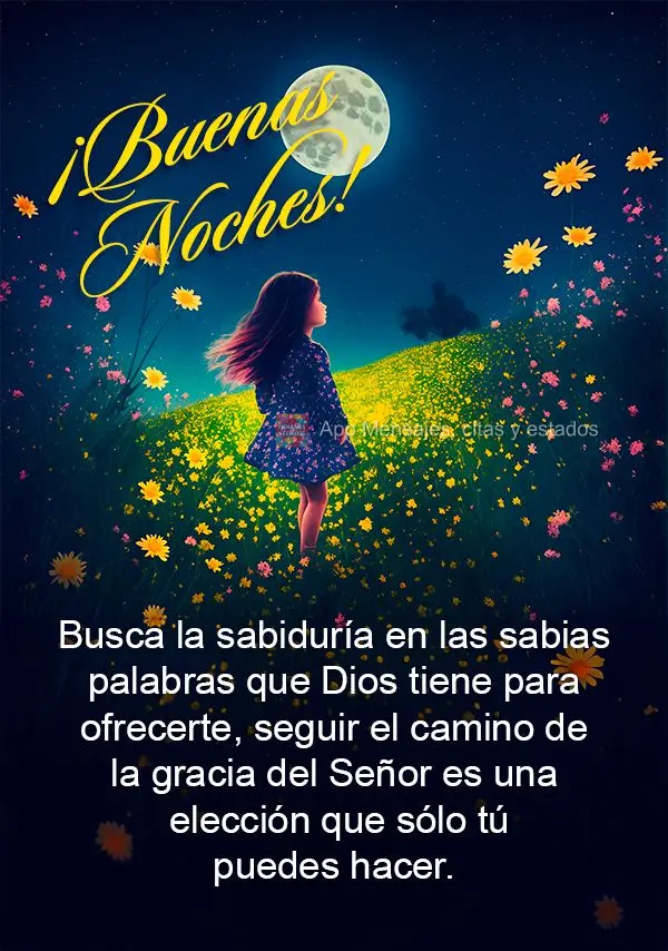 Busque sabedoria nas sábias palavras que Deus tem a oferecer, seguir pelo caminho da graça do Senhor é um escolha que só você pode fazer. Boa noite!...