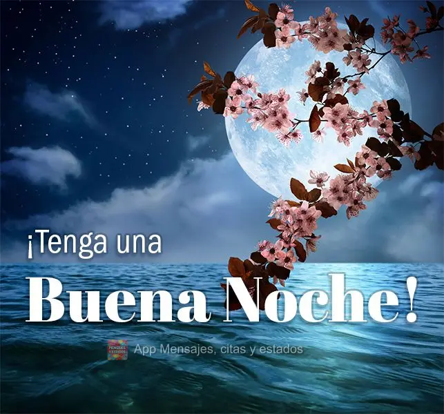 ¡Tenga una buena noche!