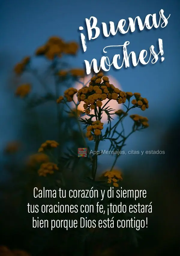 Tranquilize seu coração e faça suas orações sempre com fé, tudo vai estar bem porque Deus está com você! Boa noite!