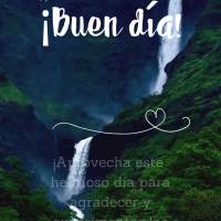 Aproveite este lindo dia para agradecer e viver as bênçãos concedidas por Deus! Bom dia!