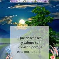 Que possas descansar e tranquilizar seu coração porque essa noite será abençoada! Boa noite!