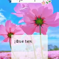 Tenha um lindo dia em companhia de boas amizades! Bom dia!