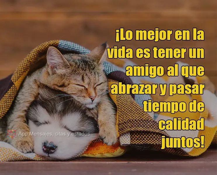 ¡Lo mejor en la vida es tener un amigo al que abrazar y pasar tiempo de calidad juntos!