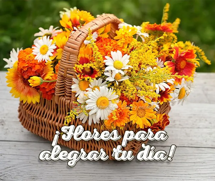 ¡Flores para alegrar tu día!