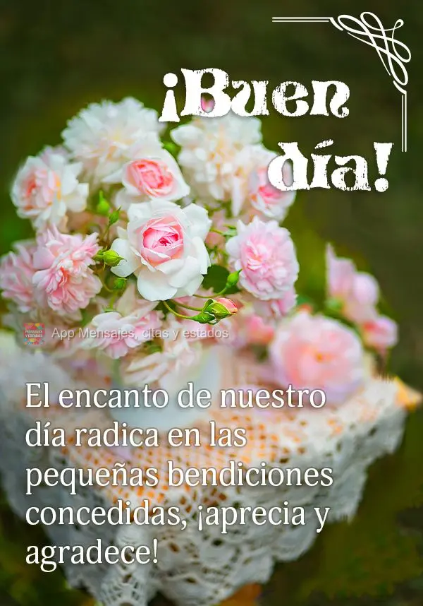 O encantar do nosso dia está nas pequenas bênçãos concedidas, aprecie e agradeça! Bom dia!