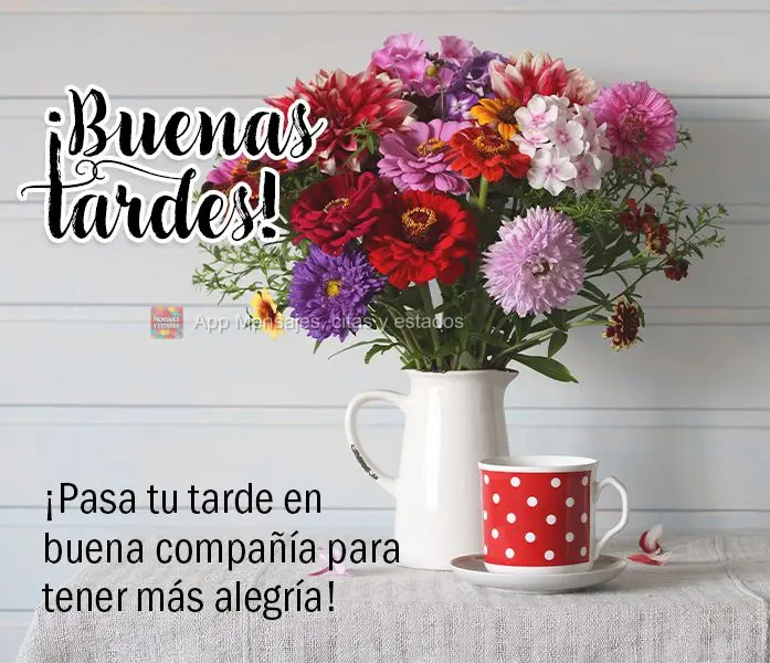 Passe a sua tarde em boas companhias para se ter mais alegria! Boa tarde!