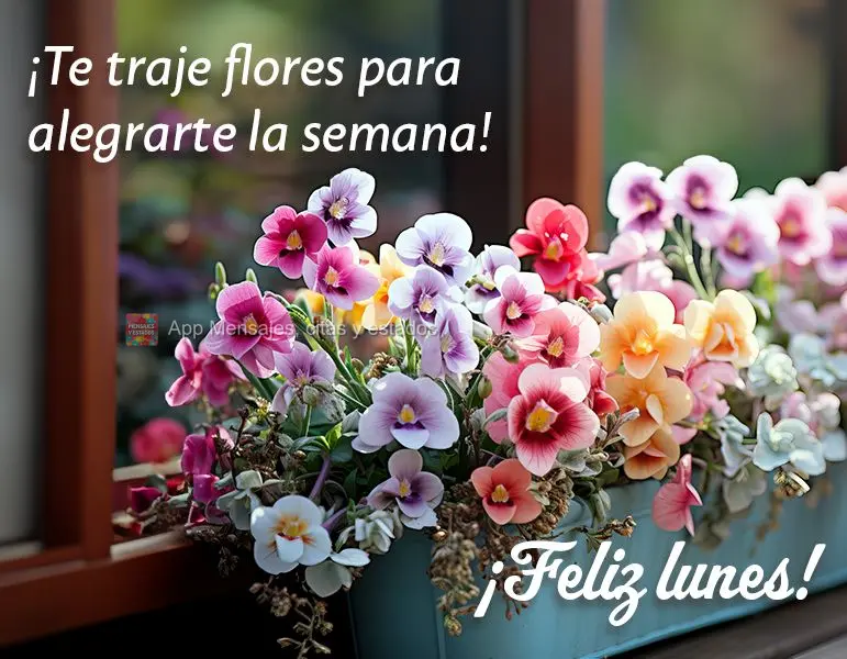 ¡Te traje flores para alegrarte la semana! ¡Feliz lunes!