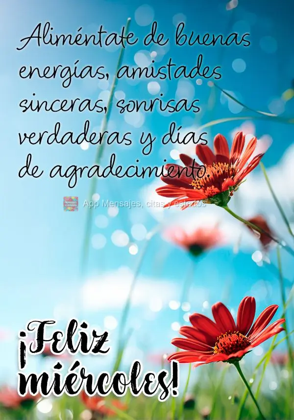 Alimente-se de boas energias, amizades sinceras, sorrisos verdadeiro e dias de gratidão. Feliz Quarta-feira!