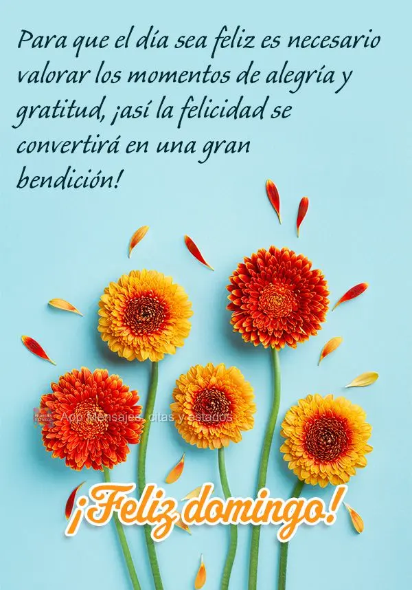 Para que el día sea feliz es necesario valorar los momentos de alegría y gratitud, ¡así la felicidad se convertirá en una gran bendición! ¡Feliz d...