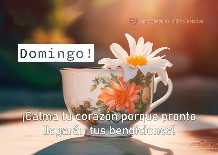 ¡Calma tu corazón porque pronto llegarán tus bendiciones! Domingo.