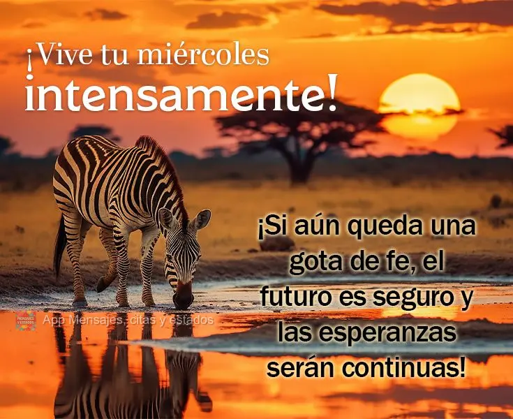 Se ainda houver uma gota de fé, o futuro é certo e as esperanças serão continuas! Viva intensamente a sua Quarta-feira!