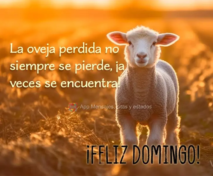 La oveja perdida no siempre se pierde, ¡a veces se encuentra! ¡Feliz domingo!