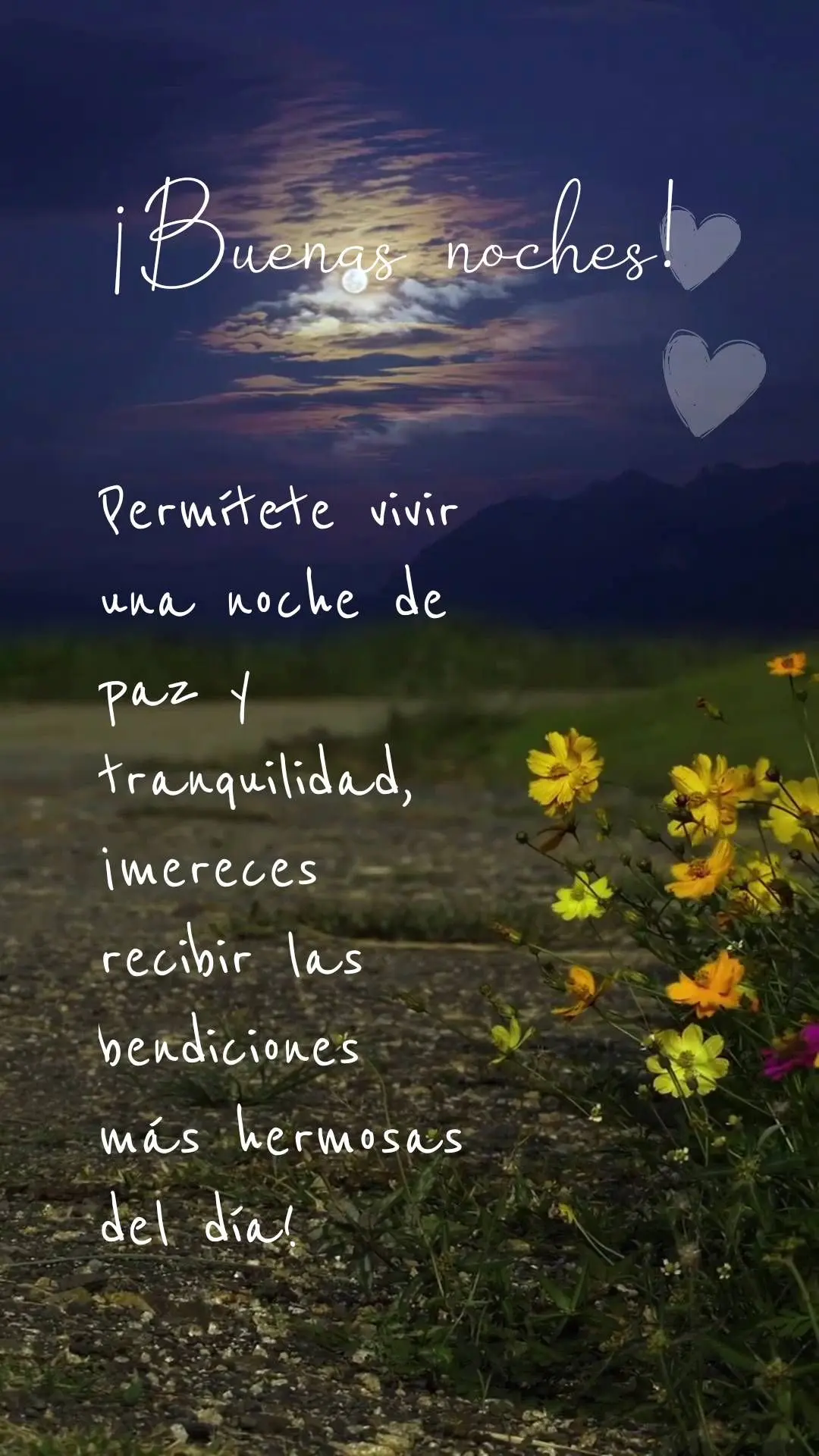 Permita-se viver um noite de paz e tranquilidade, você merece receber as bênçãos mais bonitas do dia!  Boa noite!