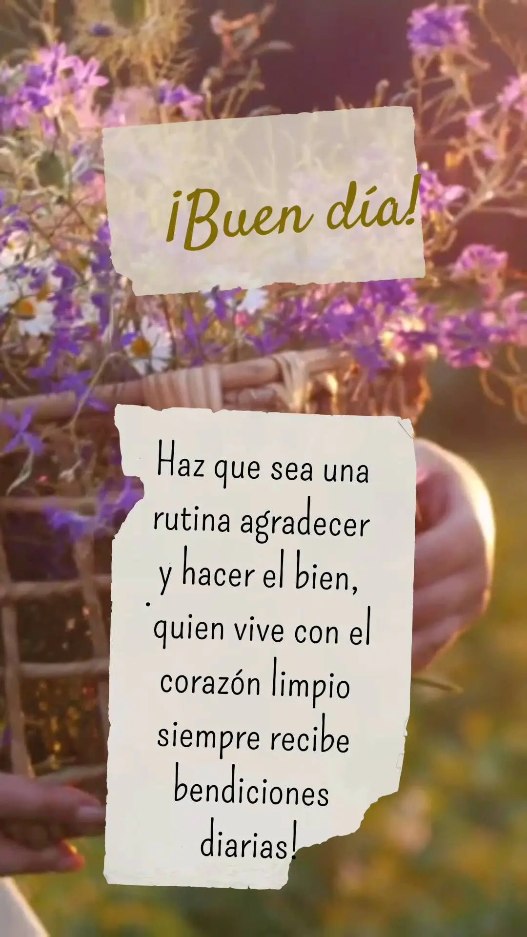 Tome como rotina agradecer e fazer o bem, quem vive com o coração limpo, sempre recebe bênçãos diárias! Bom dia!