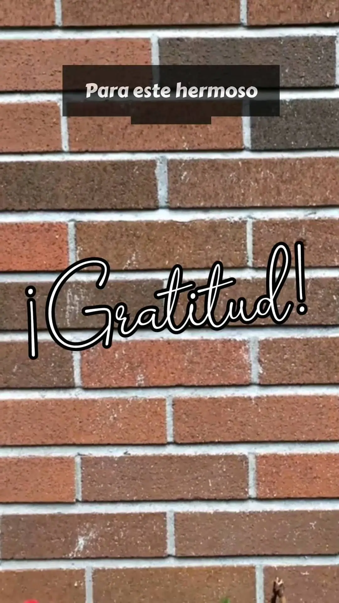 Para este lindo dia:  Gratidão!