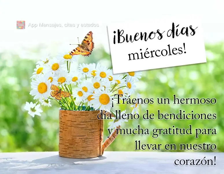 ¡Tráenos un hermoso día lleno de bendiciones y mucha gratitud para llevar en nuestro corazón! ¡Buenos días miércoles!