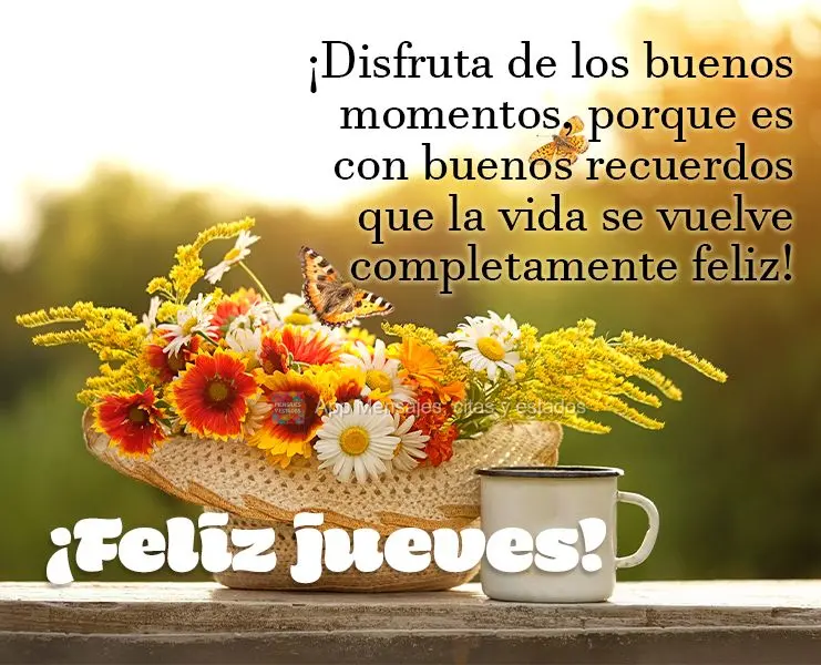 ¡Disfruta de los buenos momentos, porque es con buenos recuerdos que la vida se vuelve completamente feliz! ¡Feliz jueves!