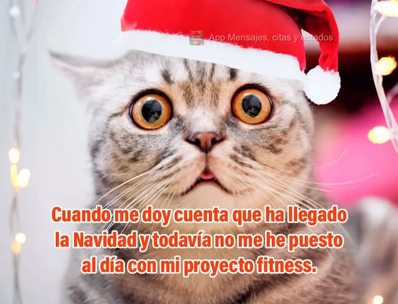 Cuando me doy cuenta que ha llegado la Navidad y todavía no me he puesto al día con mi proyecto fitness.