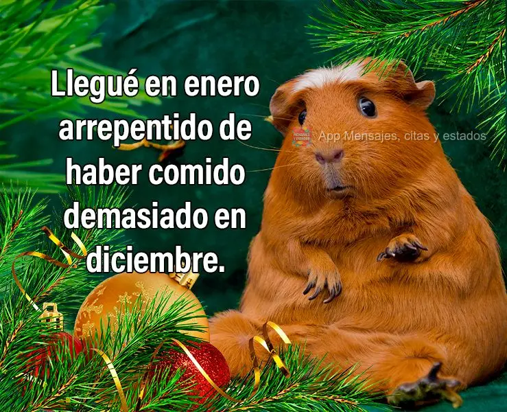 Llegué en enero arrepentido de haber comido demasiado en diciembre.
