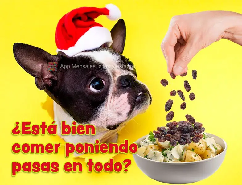 ¿Está bien comer poniendo pasas en todo?