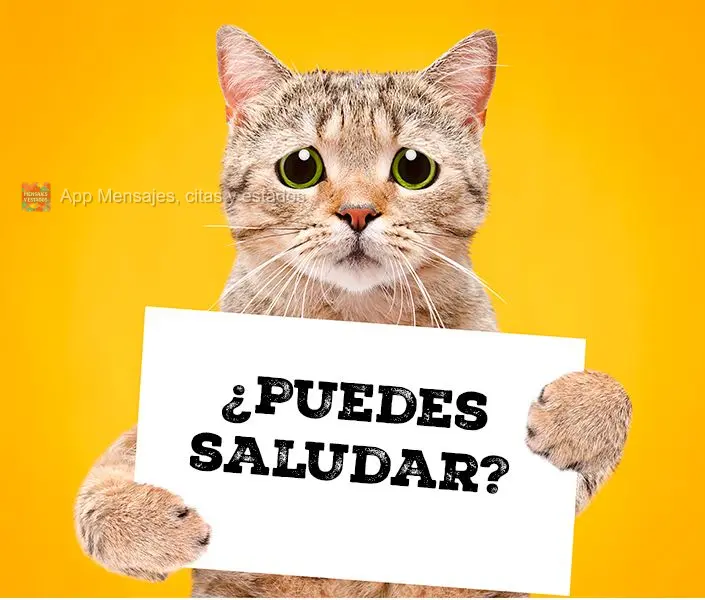 ¿Puedes saludar?