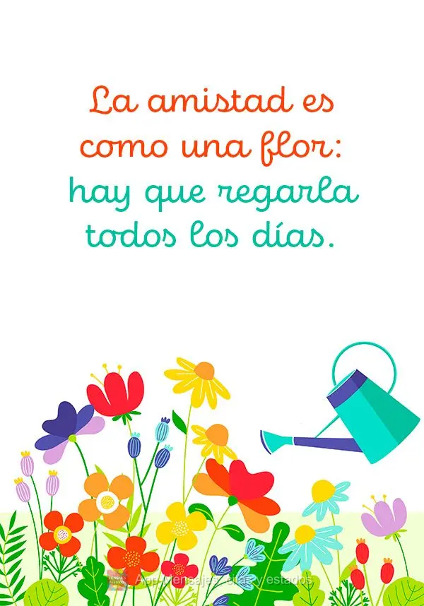 A amizade é como uma flor: tem que ser regada todos os dias.