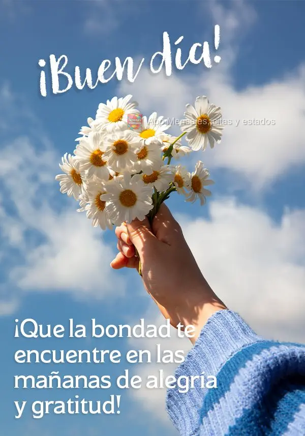 Que a gentileza possa te encontrar nas manhãs de alegria e gratidão! Bom dia!