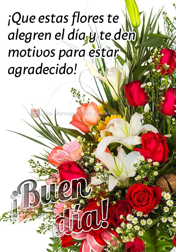 Que essas flores possam alegrar o seu dia e lhe trazer motivos para agradecer! Bom dia!