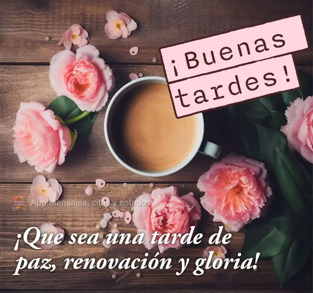 ¡Que sea una tarde de paz, renovación y gloria! ¡Buenas tardes!