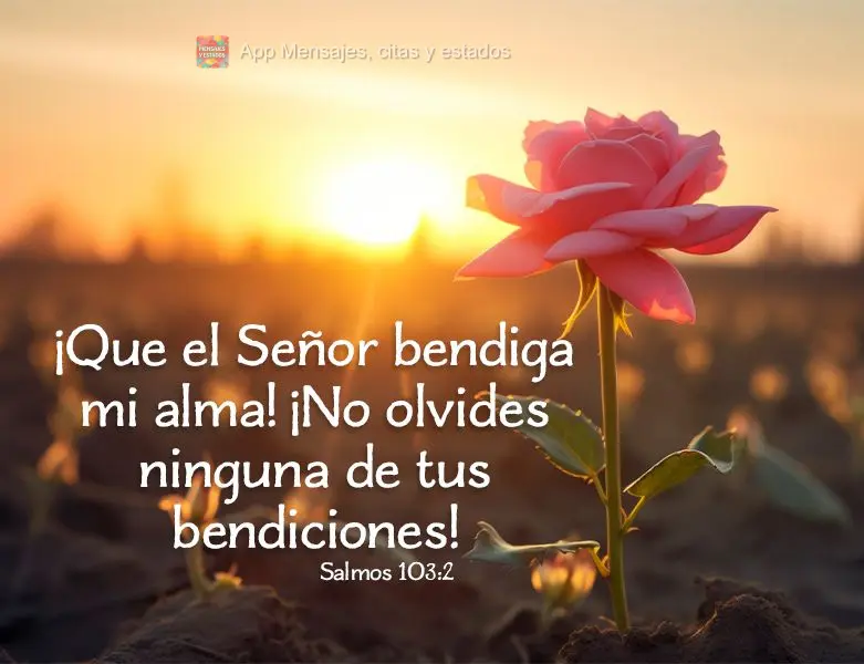 ¡Que el Señor bendiga mi alma! ¡No olvides ninguna de tus bendiciones! Salmos 103:2