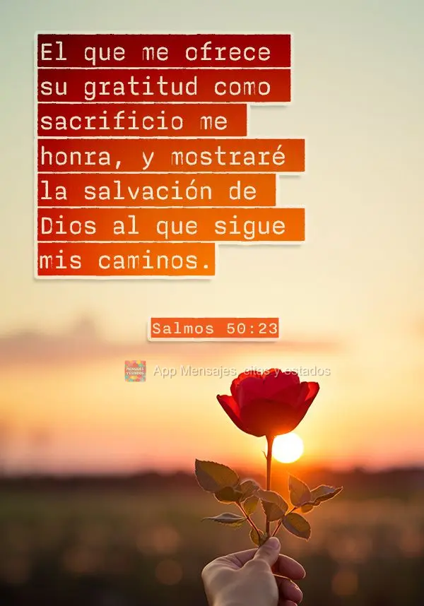 El que me ofrece su gratitud como sacrificio me honra, y mostraré la salvación de Dios al que sigue mis caminos. Salmos 50:23